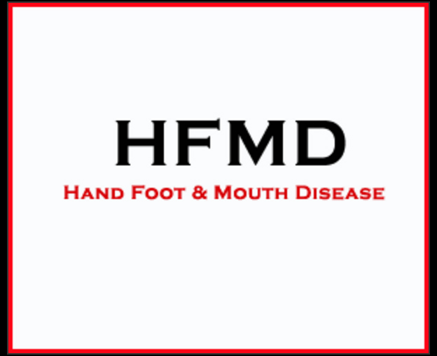 HFMD: A Brief Explanation