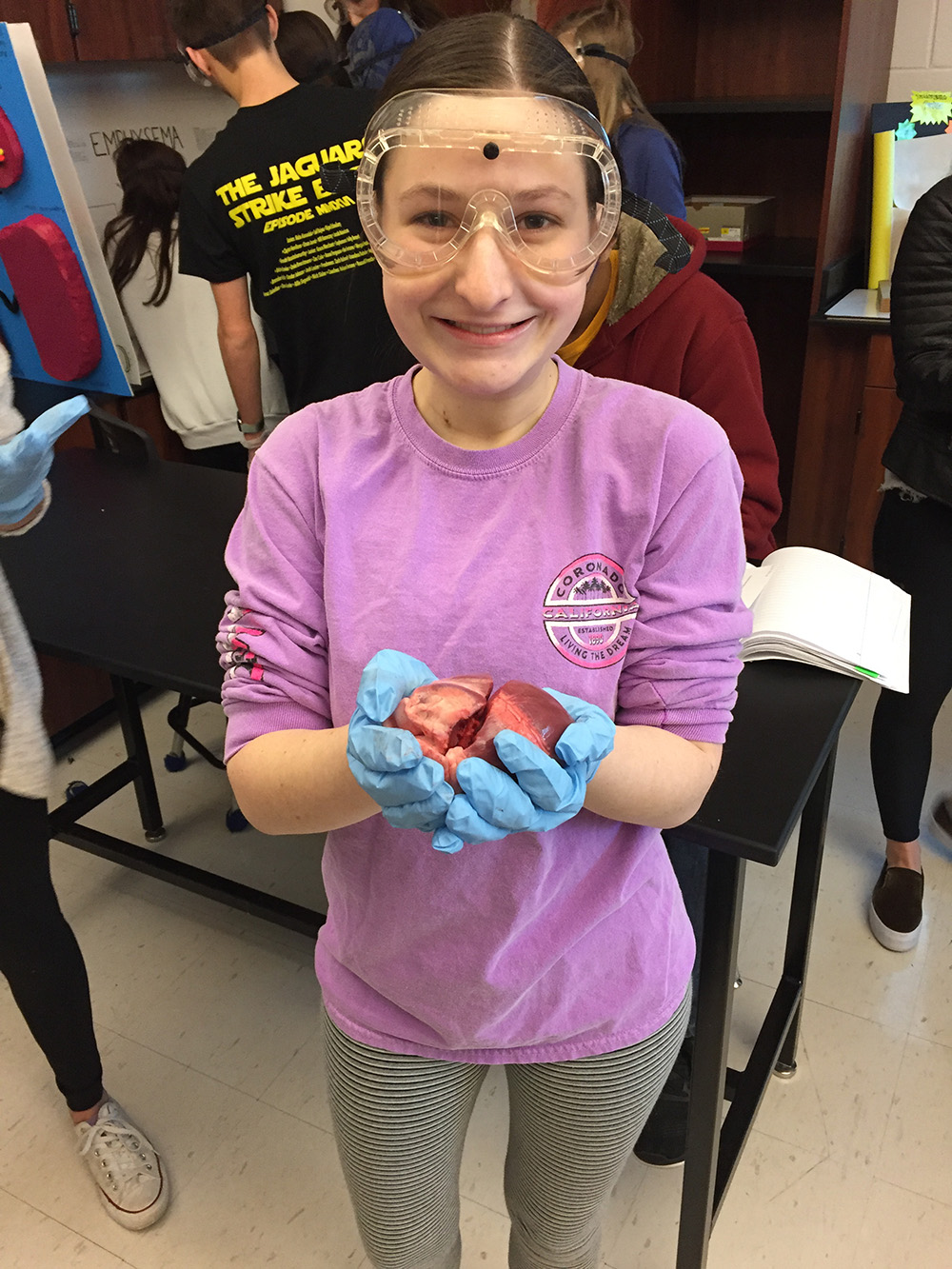 Students in Anatomy Dissect Pig Heart and Lungs - BV West ...
