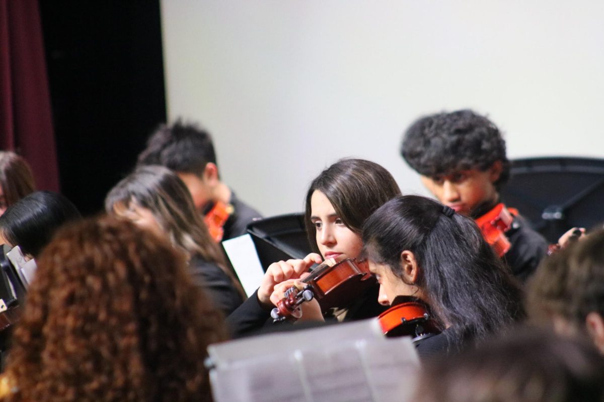 An orchestra player uses her finger for a lighter, more melodic sound in a chorus of notes.