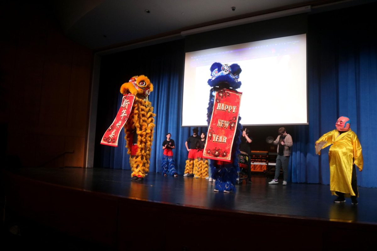 What a performance! At the Lion Dance performance, the two lions show off their flags that celebrate the new year.