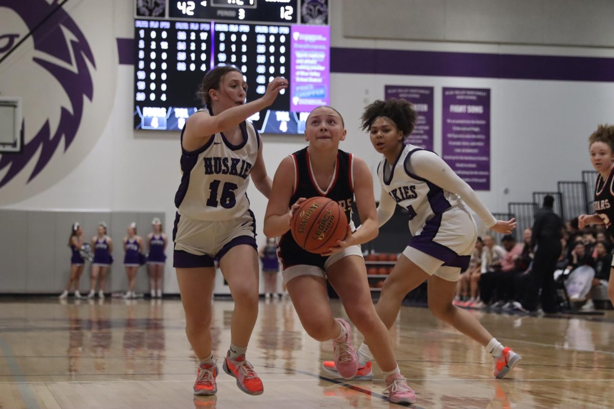 Sophomore Natalie Kilian attempts to shoot the ball, despite her opponents efforts to block her.